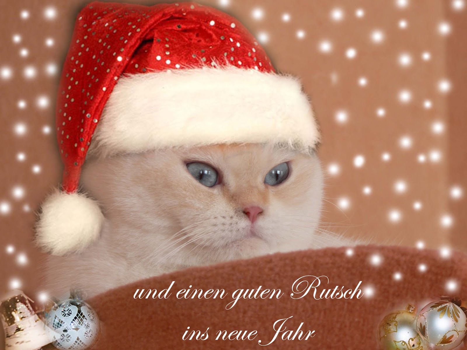 Patricias Strickwelt: Dezember 2012